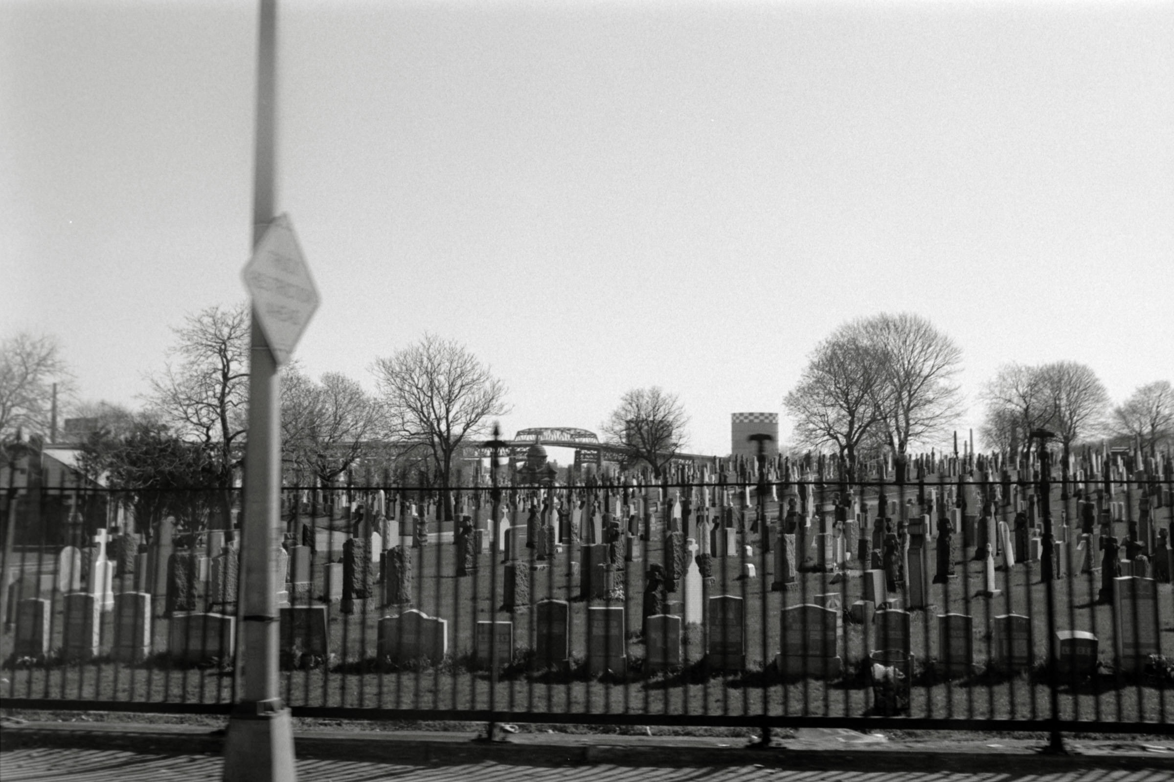 AHP F1995 04 009 sc240817 img33 NLP